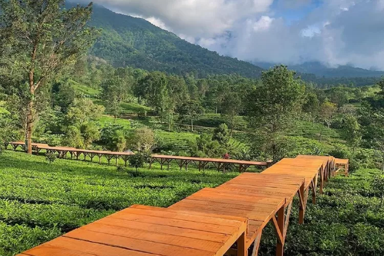 Destinasi Wisata Terbaik Bogor