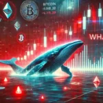 Whale Berubah Bearish