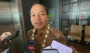 PDIP Solo PDIP Solo